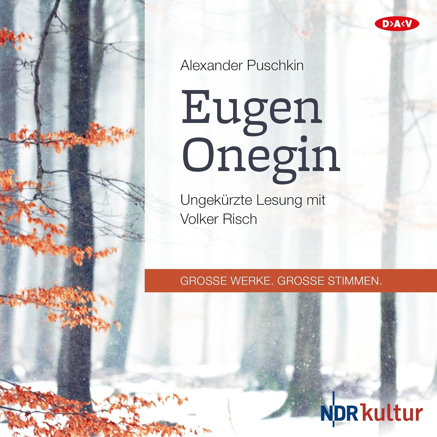 Eugen Onegin Puschkin Hörbuch deutsch gelesen