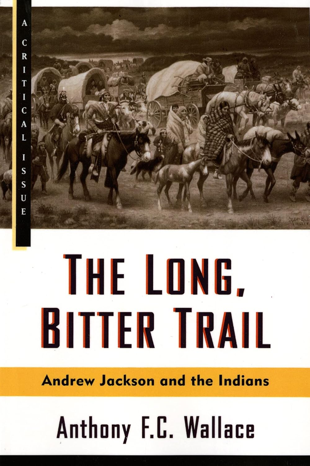 The Long Bitter Trail: Andrew Jackson and the Indians by Anthony F.C. Wallace — book cover