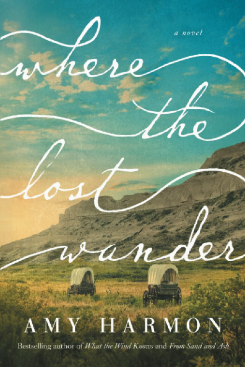 Where the Lost Wander by Amy Harmon — book cover